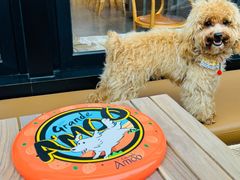 -Grande A'moo(上海万象城店)