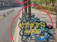 -朝阳区图书馆(小庄店)