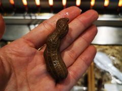 -丰茂烤串(六里桥店)