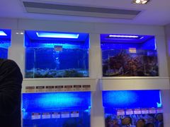 -金悦轩海鲜酒家(银河店)