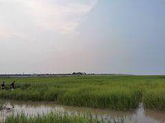 -南汇嘴观海公园