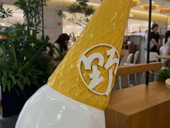 -野人先生Gelato(上海长宁龙之梦店)