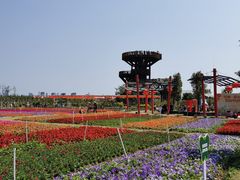 -芒洲湿地公园