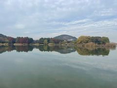 -长广溪湿地公园