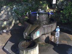 -汉拿树木园