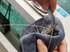 -嘻虾·钓虾工场(东莞总店)