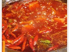 -蜀大侠火锅(建设路第五大道店)