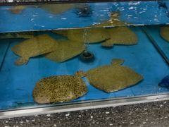 -盒马鲜生(大成店)