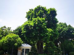 -天悦阁海景酒廊