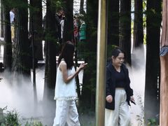-东湖落雁景区