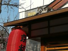 -日本风情街