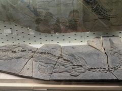 -浙江自然博物院(杭州馆)