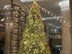 -杭州君悦酒店·湖滨28中餐厅