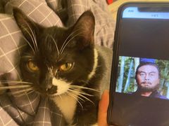 -中农大我爱我爱动物医院·核磁CT·猫病·24小时夜诊中心(石佛营店)