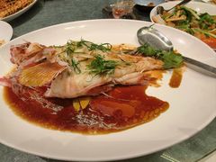 -金悦轩海鲜城(渔人码头店)