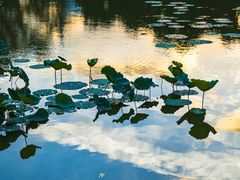 -人民公园(罗湖区)