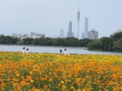 -海珠湖公园