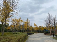 -黄兴公园
