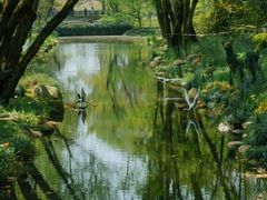 -上海共青森林公园