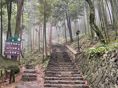 -莫干山风景区