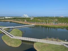 -春花秋色城市公园