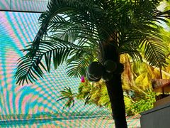 -大头椰·椰子鸡火锅(南宁万象城店)