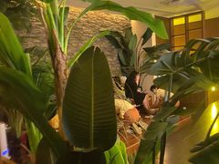 -泰迦·正宗泰式按摩SPA(东城店)