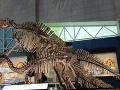 -湖南省地质博物馆