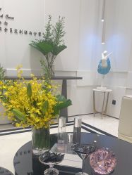 -奥斯芬欧系贵族SPA