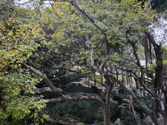 -八卦楼风琴博物馆
