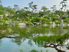 -罗红摄影艺术馆