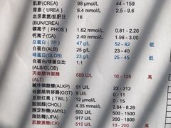 -邢大夫动物医院