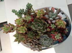 -颜蕾医美·黄金微针·水光·玻尿酸·超声炮·抗衰中心