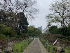 -中山公园