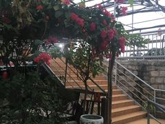-横琴公社餐厅