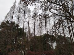 -徐家汇源景区-衡山公园