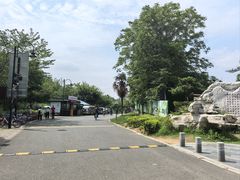 -东湖落雁景区