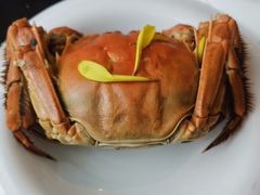清蒸大闸蟹-蟹榭·本帮江浙菜·蟹宴(五角场合生汇商场店)