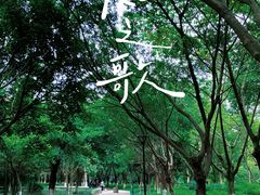 -升仙湖公园
