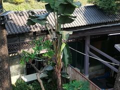-荔湾湖公园