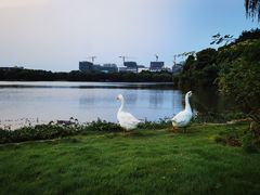 -东华大学(松江校区)
