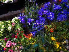 -循礼门鲜花花市(武汉循礼门店)