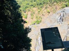 -热带雨林自然公园