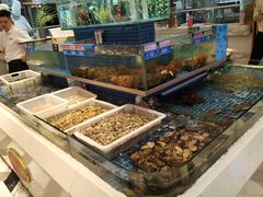 水产区-阿明小菜·海鲜·上海菜(梅陇华理店)