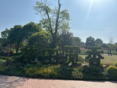 -铁山坪森林公园