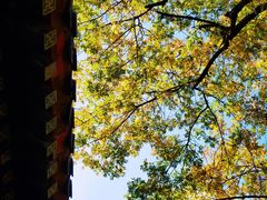 -灵谷景区