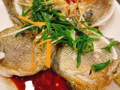 清蒸太阳鱼-大唐靓汤江门私房菜(景田店)
