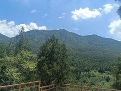 -佛慧山