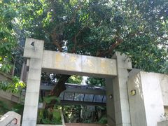 -香港大学