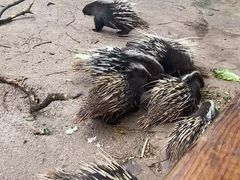 -昆明动物园